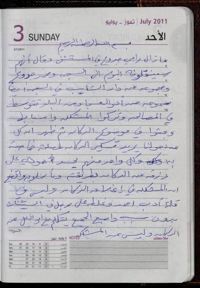 The Diary of Fadeyyeh Darabe, Dura- Hebron, 2011
