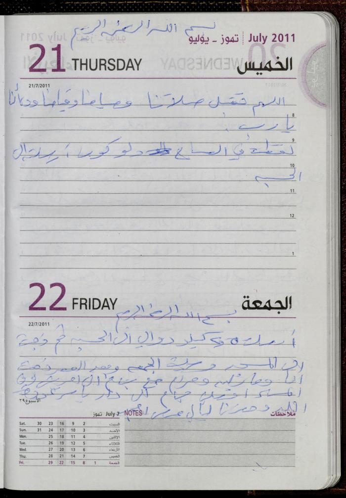 The Diary of Fadeyyeh Darabe, Dura- Hebron, 2011