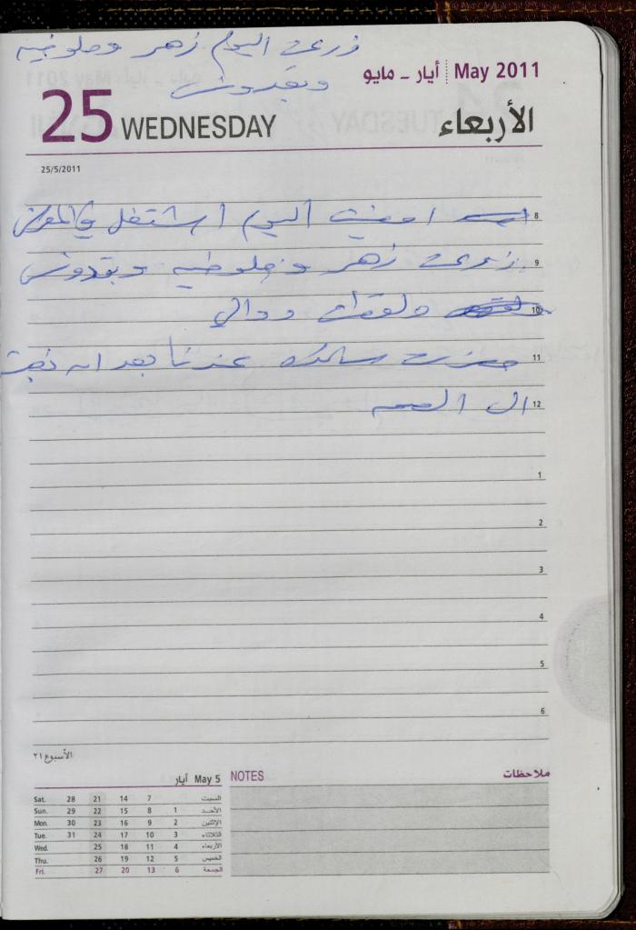 The Diary of Fadeyyeh Darabe, Dura- Hebron, 2011