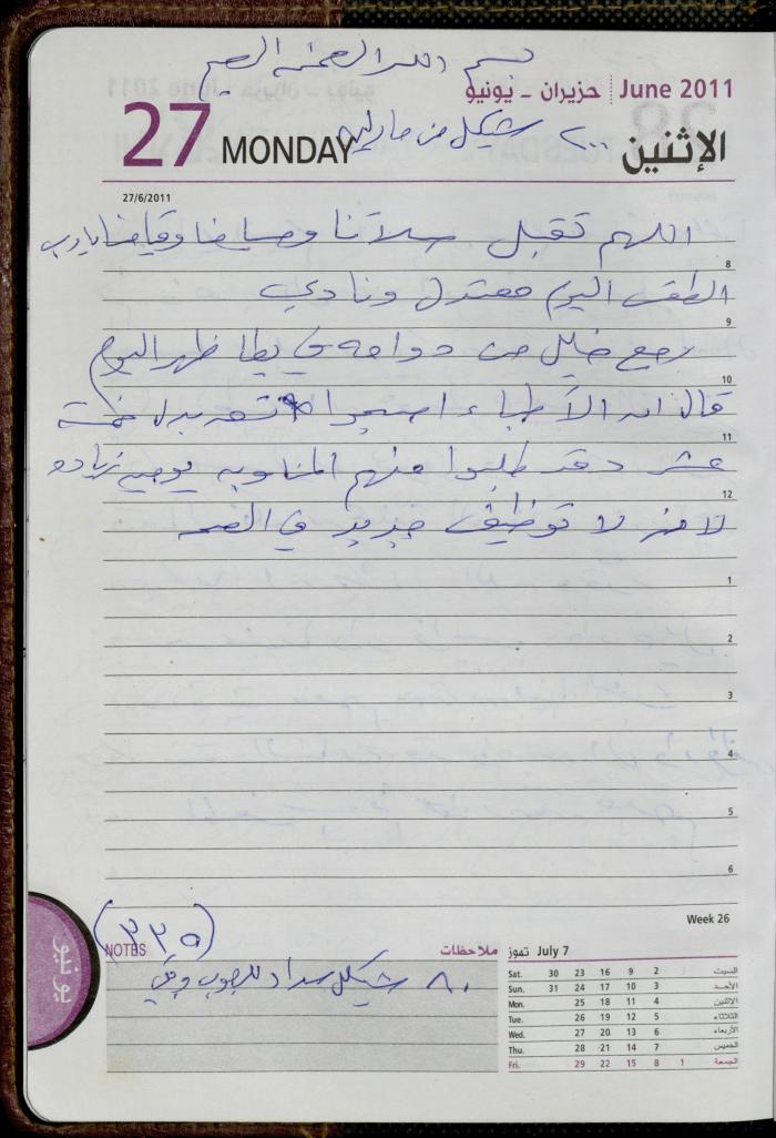 The Diary of Fadeyyeh Darabe, Dura- Hebron, 2011