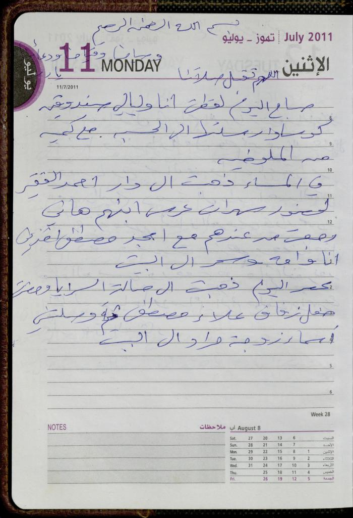 The Diary of Fadeyyeh Darabe, Dura- Hebron, 2011