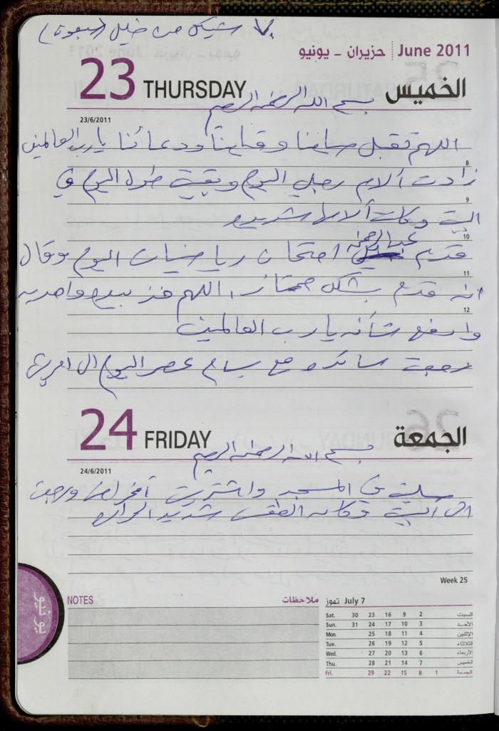 The Diary of Fadeyyeh Darabe, Dura- Hebron, 2011