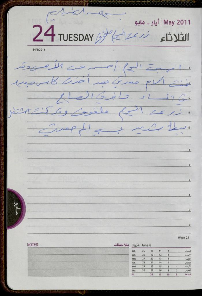 The Diary of Fadeyyeh Darabe, Dura- Hebron, 2011