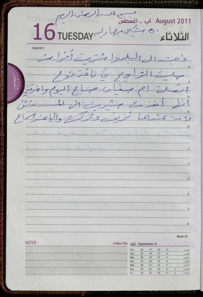 The Diary of Fadeyyeh Darabe, Dura- Hebron, 2011