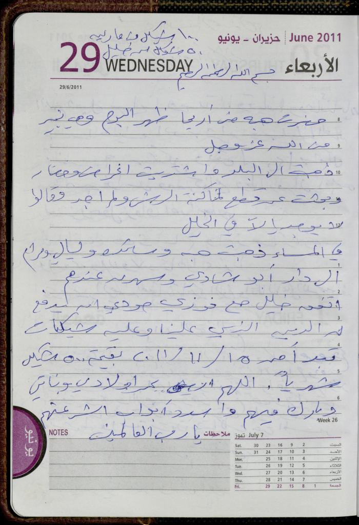 The Diary of Fadeyyeh Darabe, Dura- Hebron, 2011