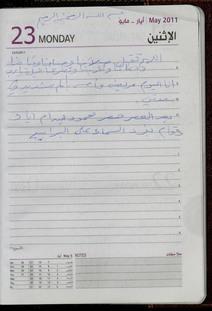 The Diary of Fadeyyeh Darabe, Dura- Hebron, 2011