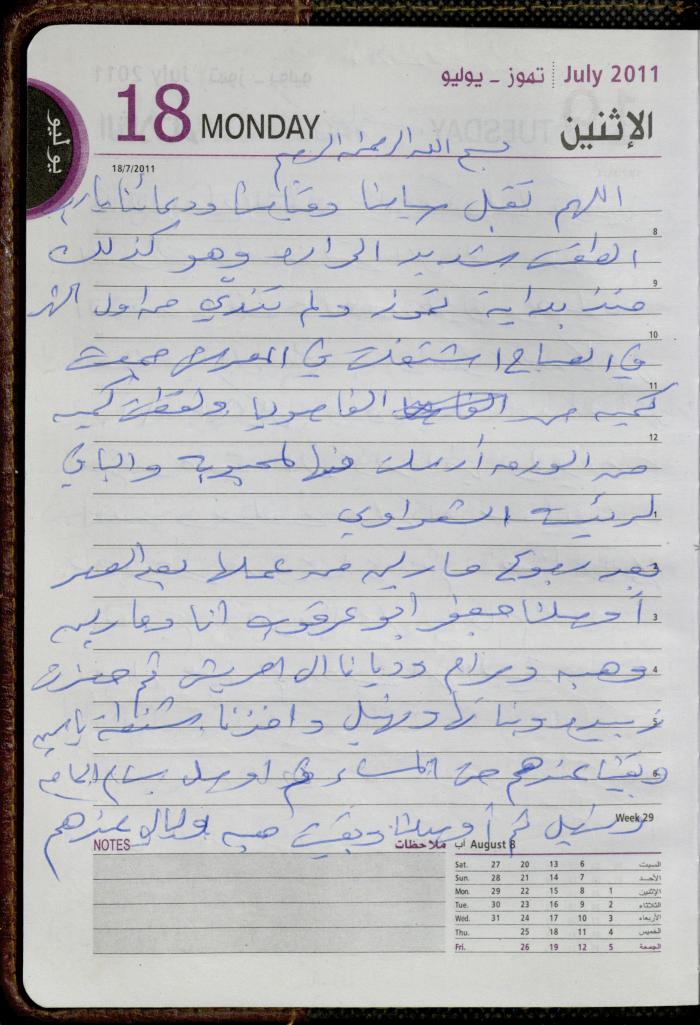 The Diary of Fadeyyeh Darabe, Dura- Hebron, 2011