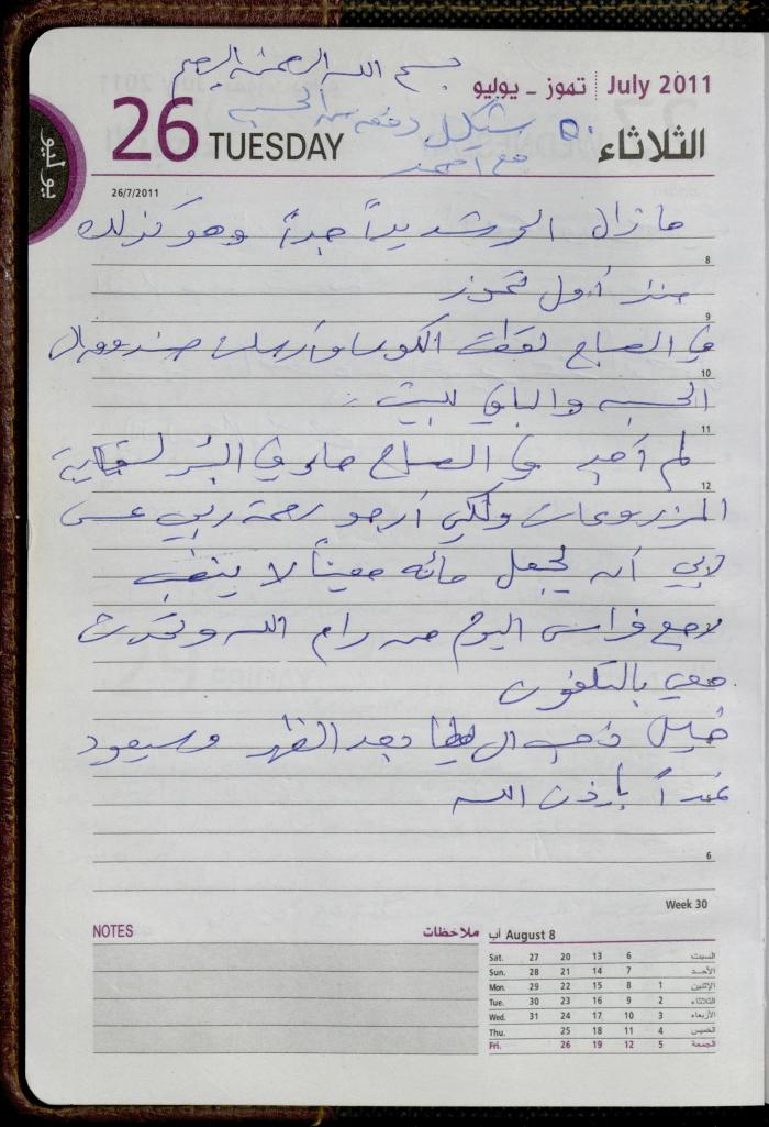 The Diary of Fadeyyeh Darabe, Dura- Hebron, 2011