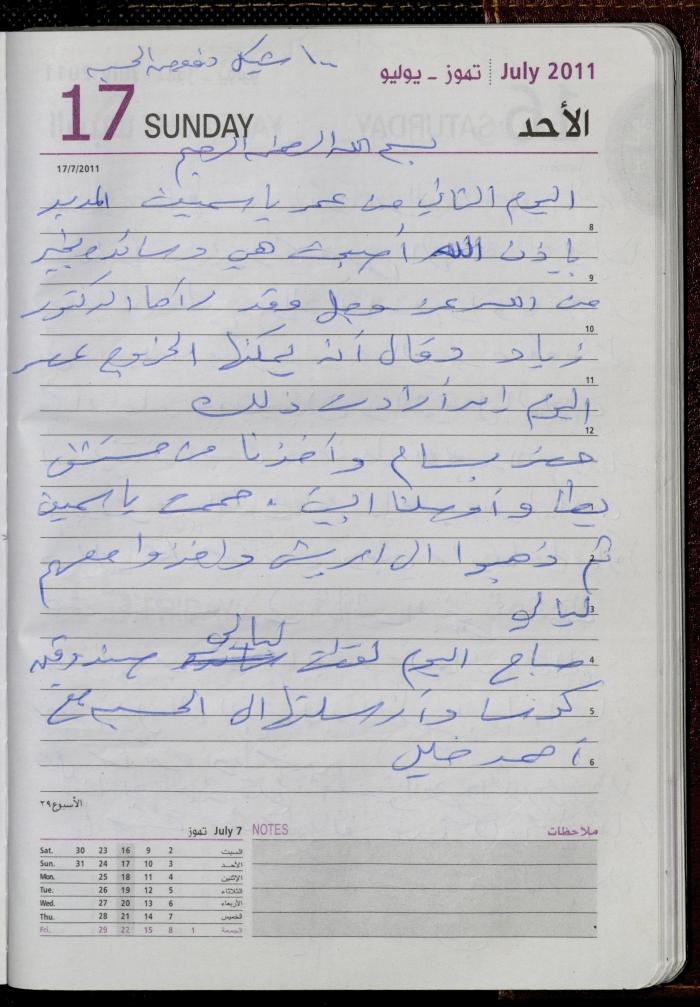 The Diary of Fadeyyeh Darabe, Dura- Hebron, 2011