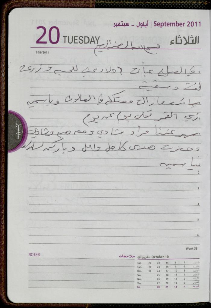 The Diary of Fadeyyeh Darabe, Dura- Hebron, 2011