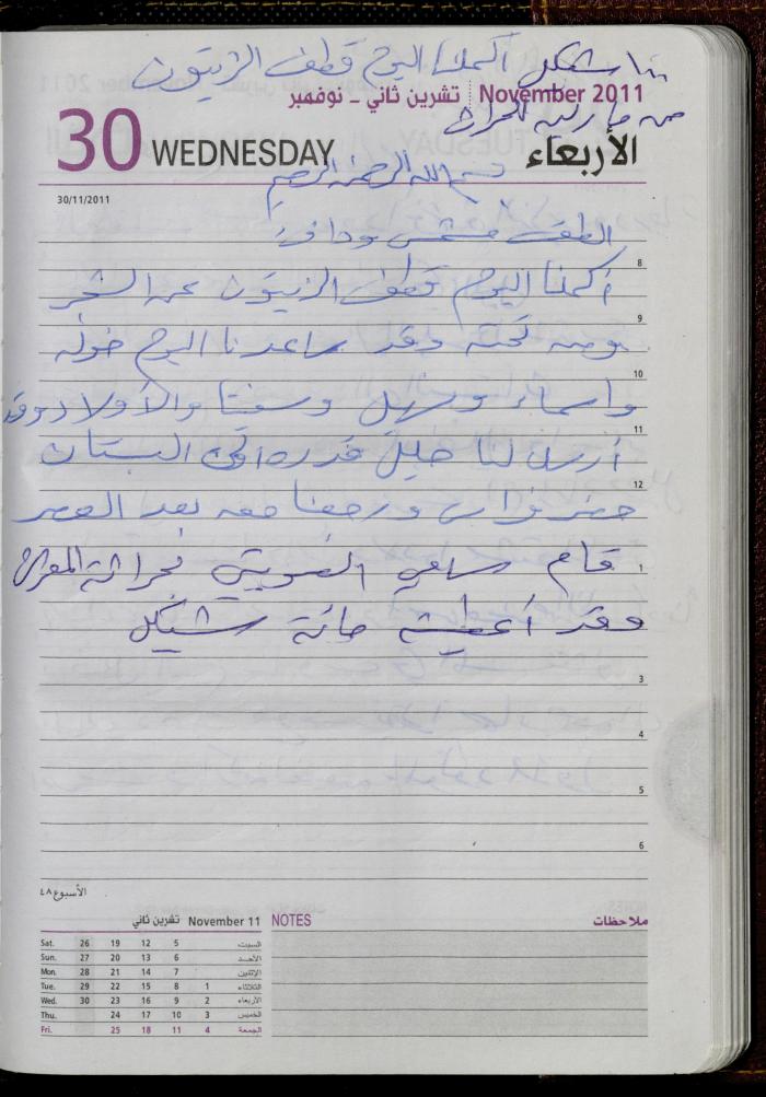 The Diary of Fadeyyeh Darabe, Dura- Hebron, 2011