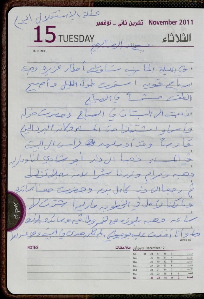 The Diary of Fadeyyeh Darabe, Dura- Hebron, 2011