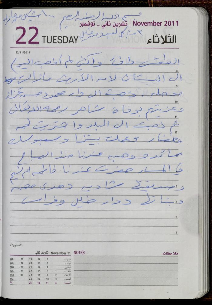 The Diary of Fadeyyeh Darabe, Dura- Hebron, 2011