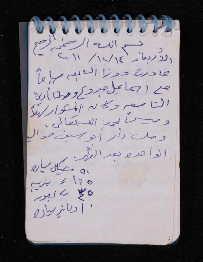 The Diary of Fadeyyeh Darabe, Dura- Hebron, 2011