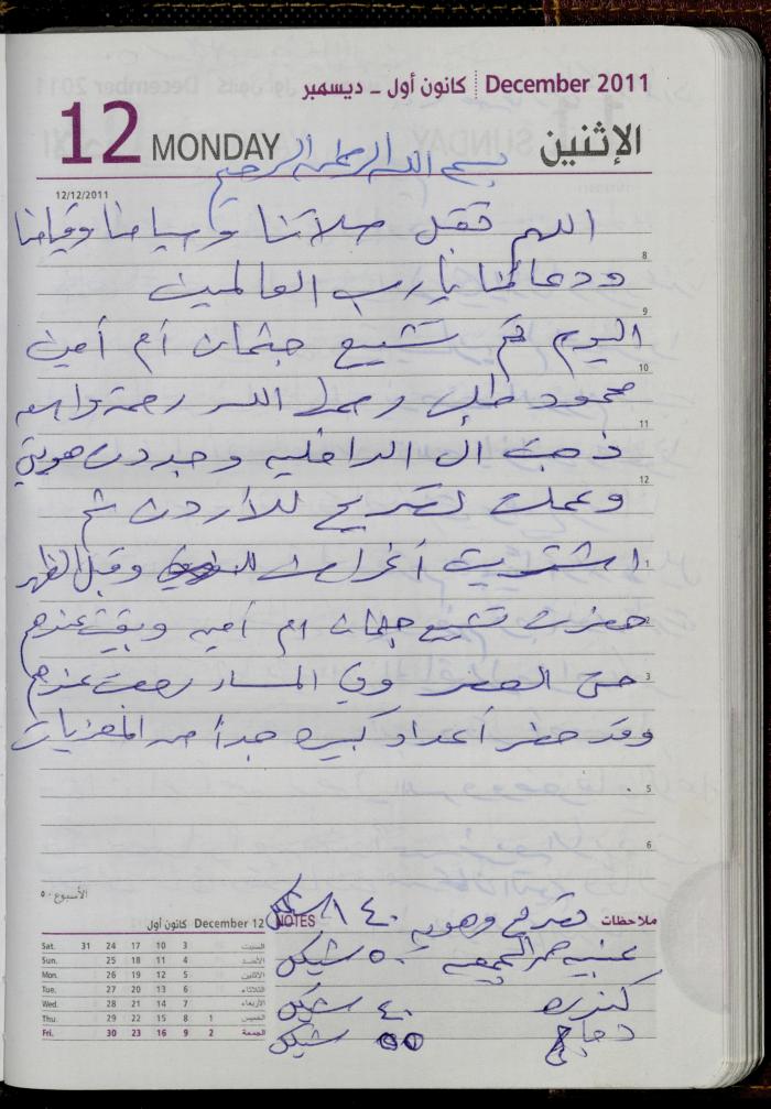 The Diary of Fadeyyeh Darabe, Dura- Hebron, 2011
