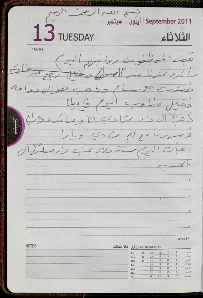 The Diary of Fadeyyeh Darabe, Dura- Hebron, 2011
