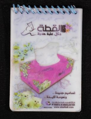The Diary of Fadeyyeh Darabe, Dura- Hebron, 2011