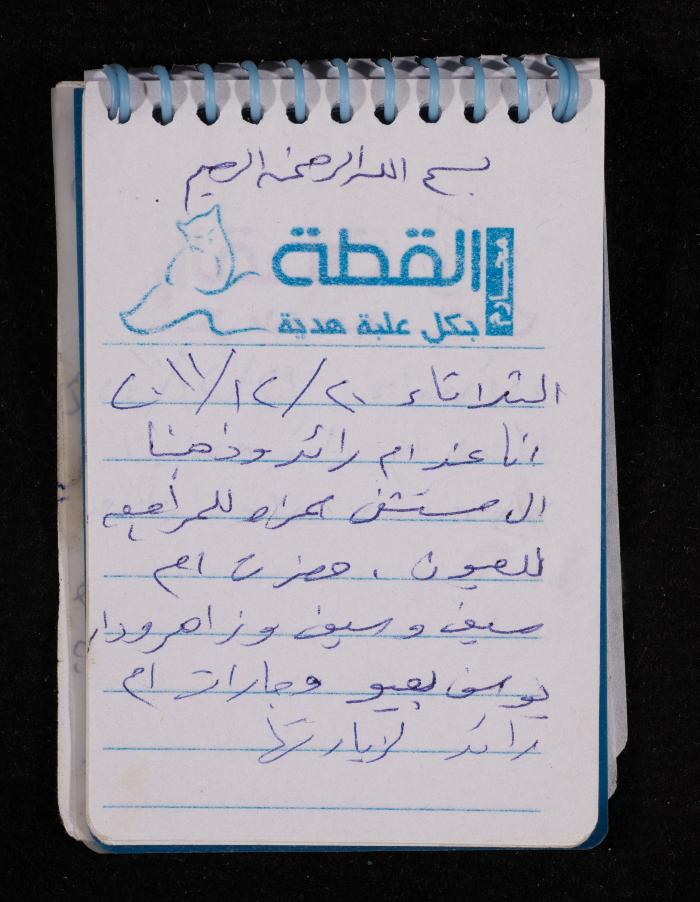 The Diary of Fadeyyeh Darabe, Dura- Hebron, 2011