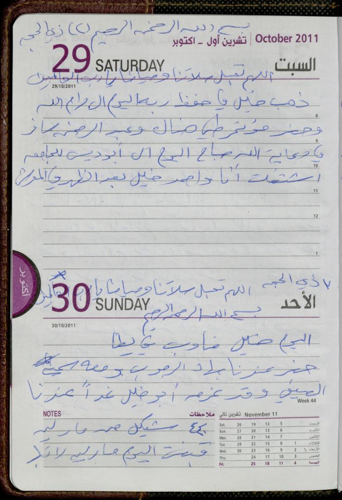 The Diary of Fadeyyeh Darabe, Dura- Hebron, 2011