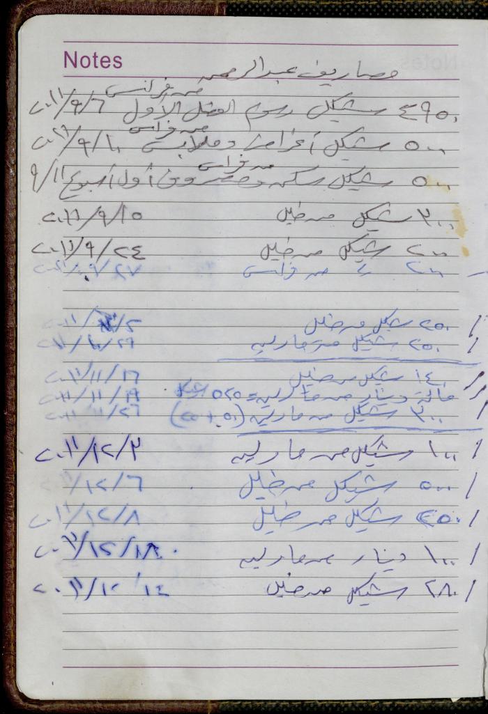The Diary of Fadeyyeh Darabe, Dura- Hebron, 2011