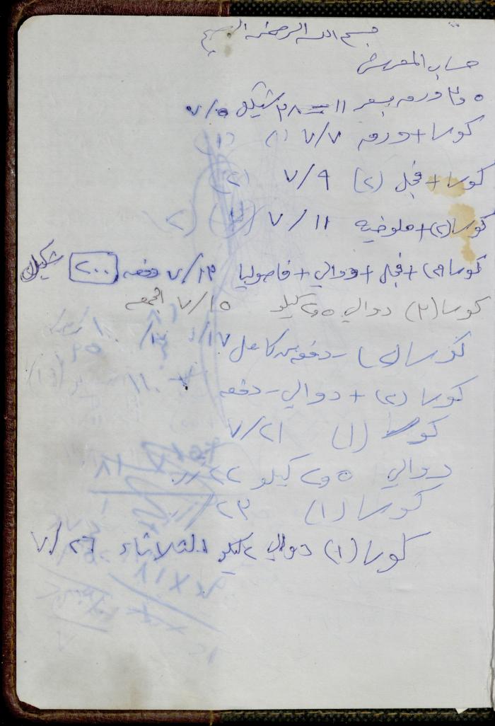The Diary of Fadeyyeh Darabe, Dura- Hebron, 2011