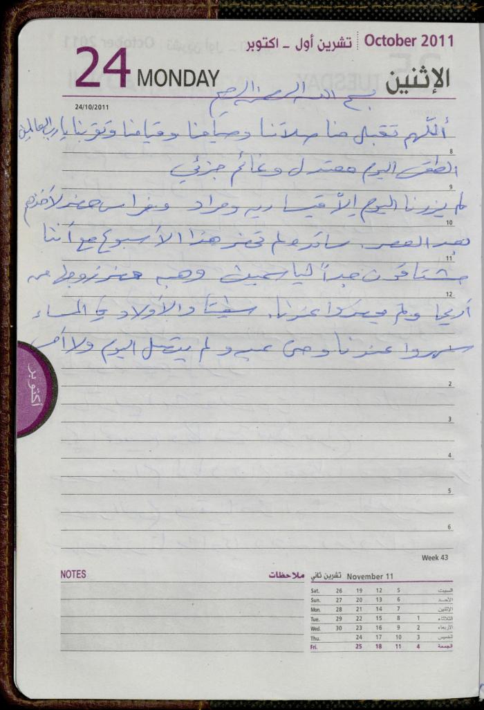 The Diary of Fadeyyeh Darabe, Dura- Hebron, 2011