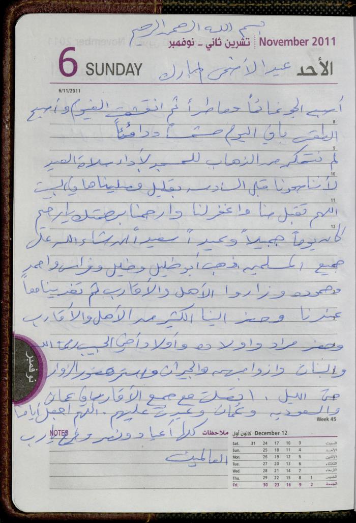 The Diary of Fadeyyeh Darabe, Dura- Hebron, 2011