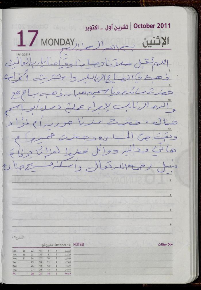 The Diary of Fadeyyeh Darabe, Dura- Hebron, 2011