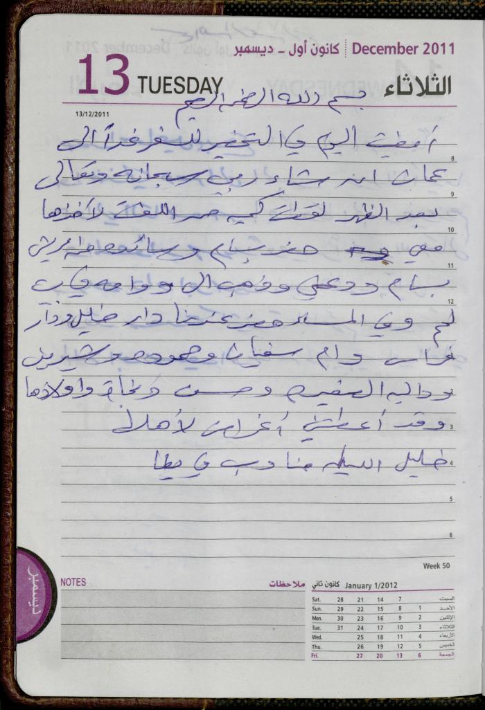 The Diary of Fadeyyeh Darabe, Dura- Hebron, 2011