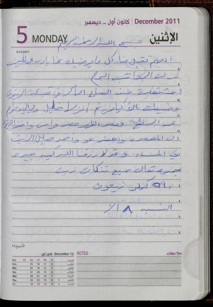 The Diary of Fadeyyeh Darabe, Dura- Hebron, 2011