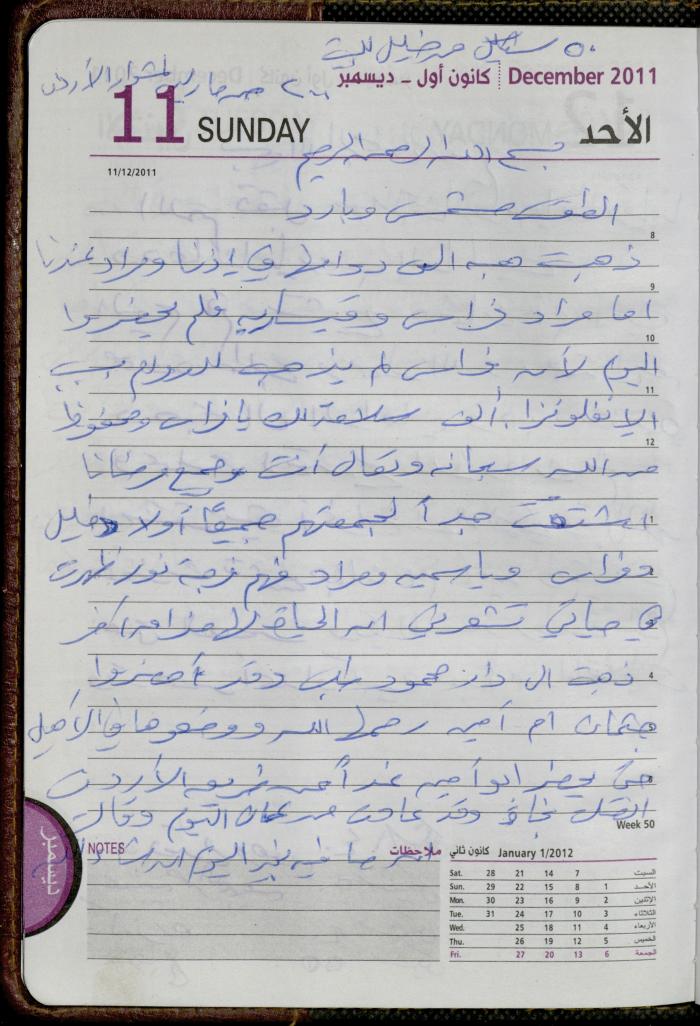 The Diary of Fadeyyeh Darabe, Dura- Hebron, 2011