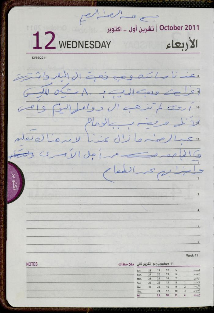 The Diary of Fadeyyeh Darabe, Dura- Hebron, 2011