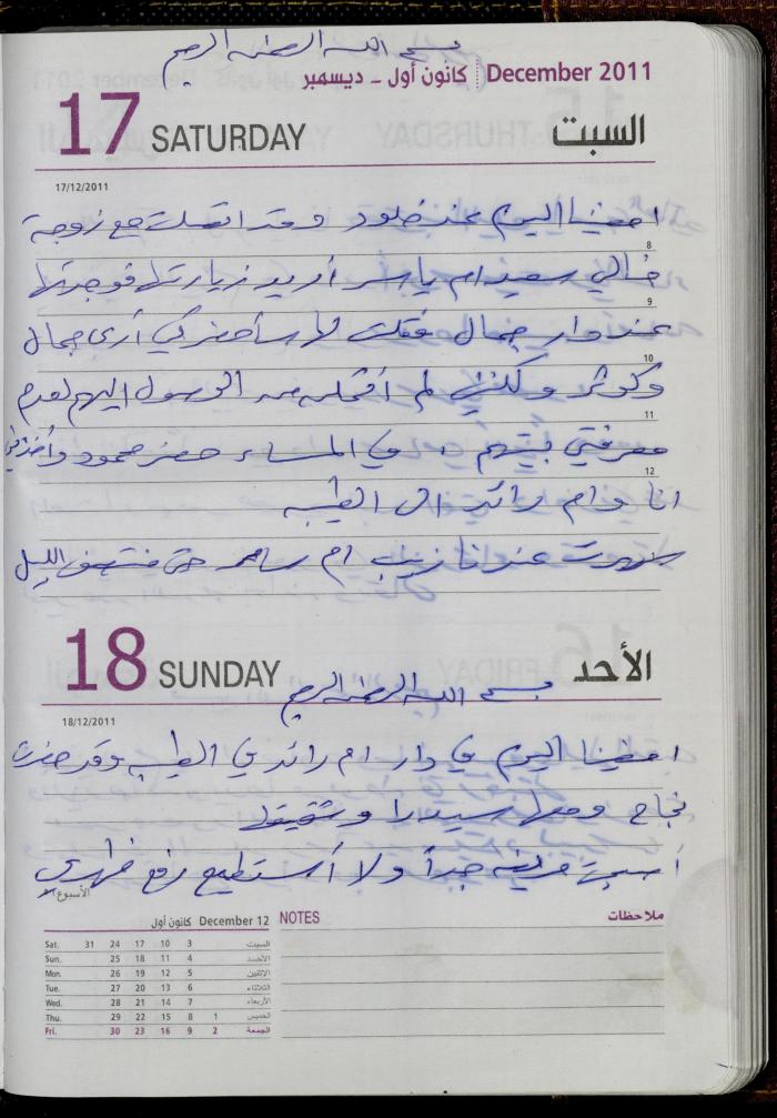 The Diary of Fadeyyeh Darabe, Dura- Hebron, 2011