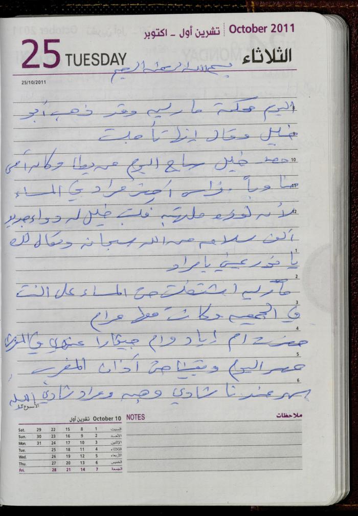 The Diary of Fadeyyeh Darabe, Dura- Hebron, 2011