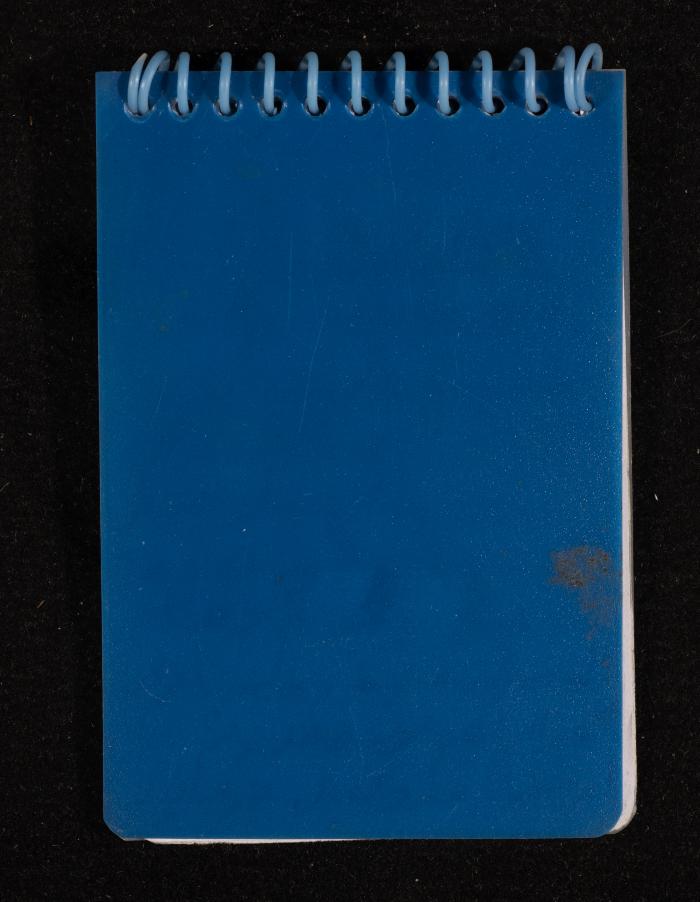 The Diary of Fadeyyeh Darabe, Dura- Hebron, 2011