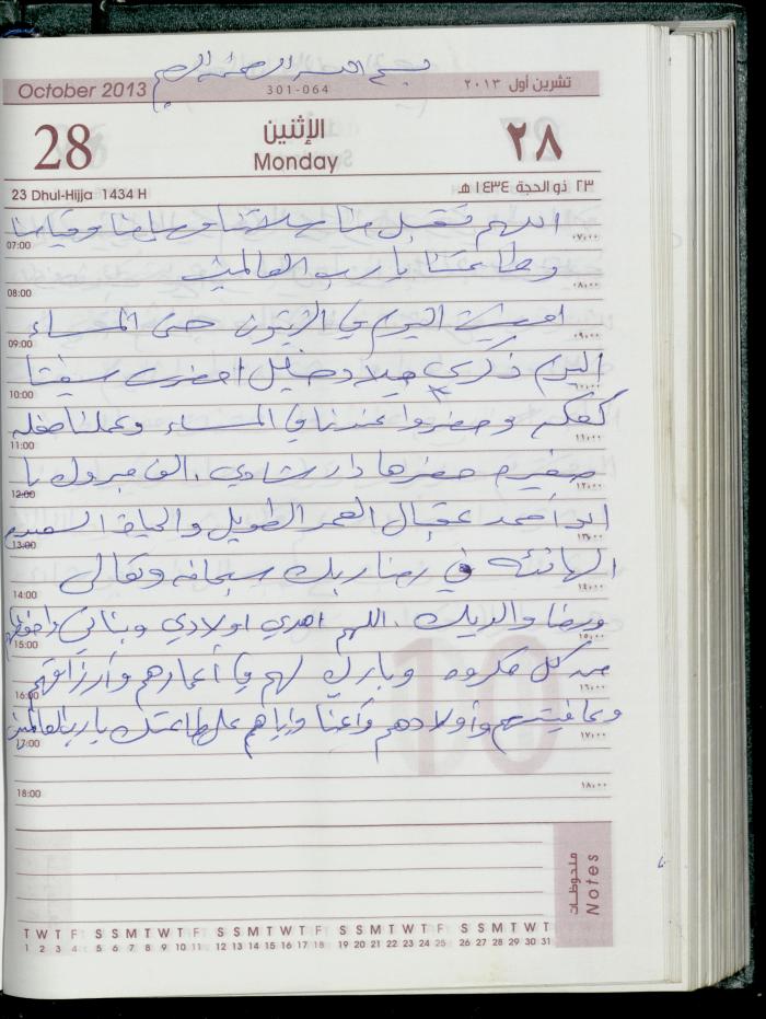 دفتر يوميات فضية الدرابيع، دورا- الخليل، 2013
