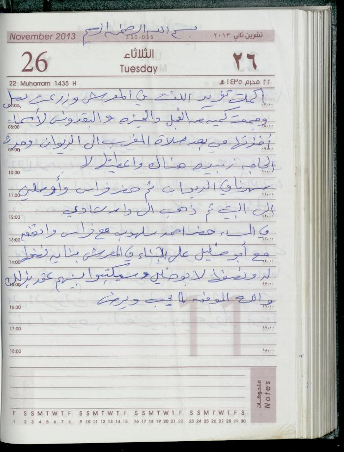 دفتر يوميات فضية الدرابيع، دورا- الخليل، 2013