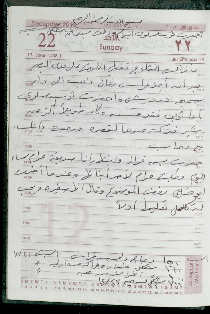 دفتر يوميات فضية الدرابيع، دورا- الخليل، 2013