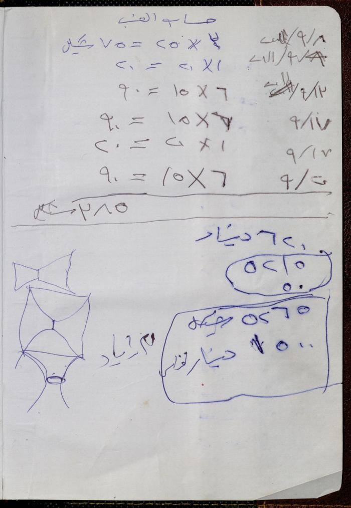 دفتر يوميات فضية الدرابيع، دورا- الخليل، 2013