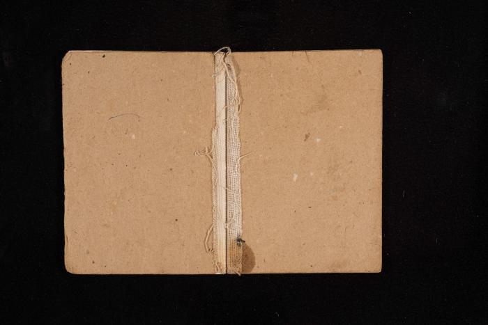 دفتر يوميات فضية الدرابيع، دورا- الخليل، 2014