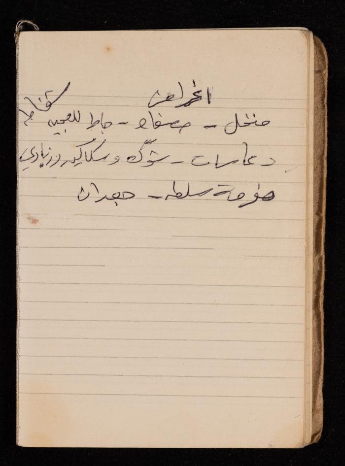 دفتر يوميات فضية الدرابيع، دورا- الخليل، 2014