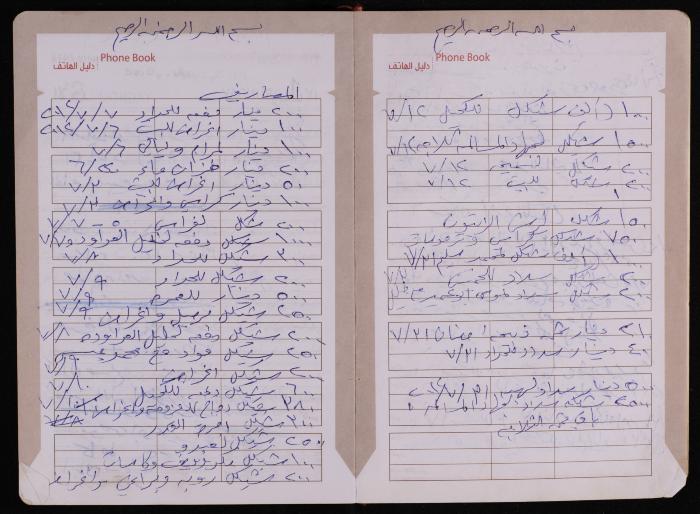 دفتر يوميات فضية الدرابيع، دورا- الخليل، 2012