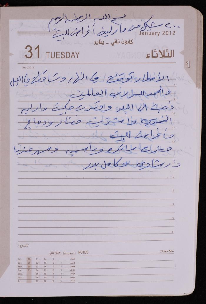 دفتر يوميات فضية الدرابيع، دورا- الخليل، 2012