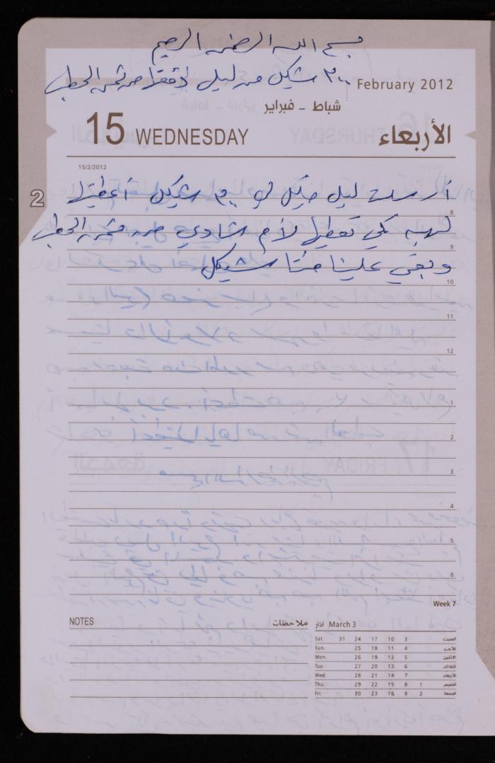 دفتر يوميات فضية الدرابيع، دورا- الخليل، 2012