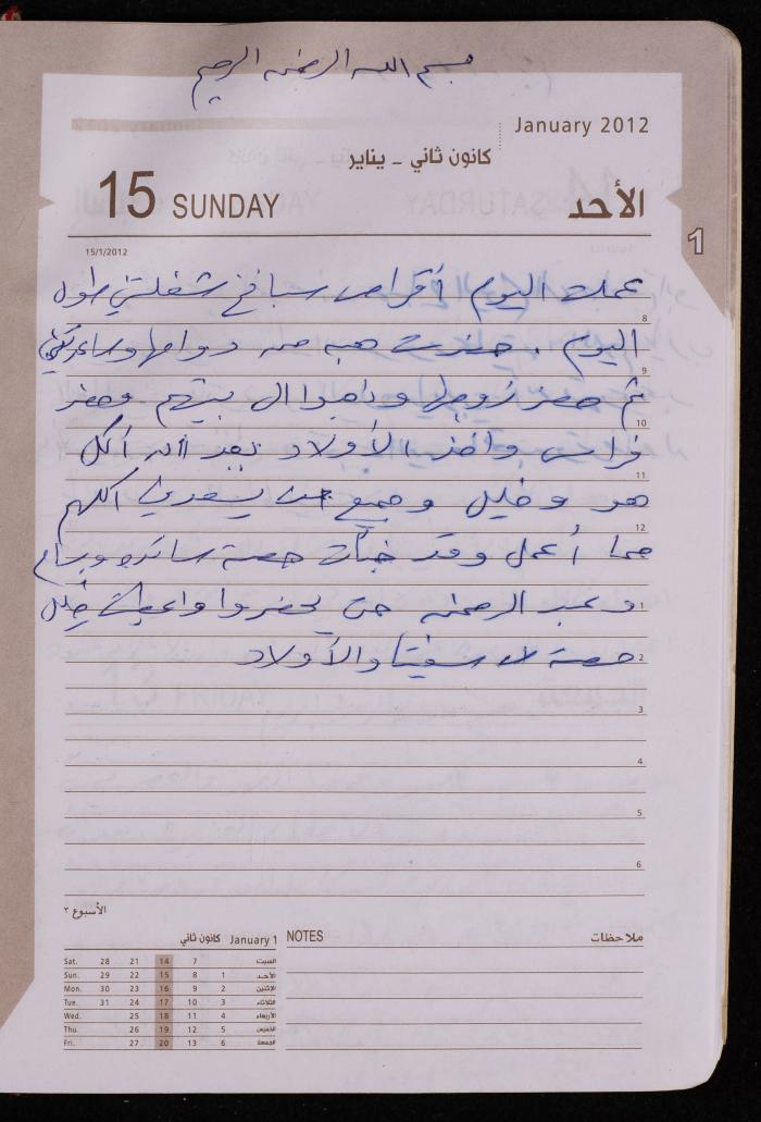 دفتر يوميات فضية الدرابيع، دورا- الخليل، 2012