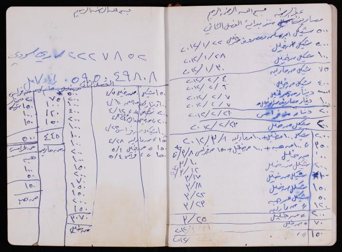 دفتر يوميات فضية الدرابيع، دورا- الخليل، 2012