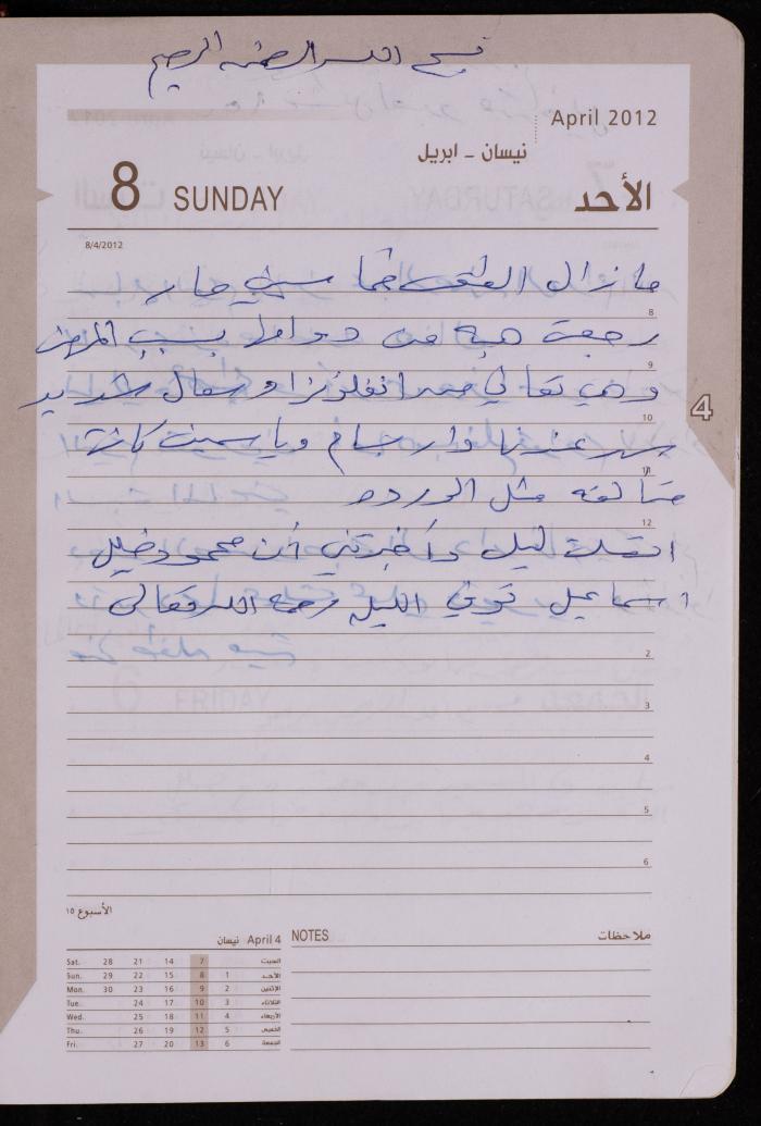 دفتر يوميات فضية الدرابيع، دورا- الخليل، 2012