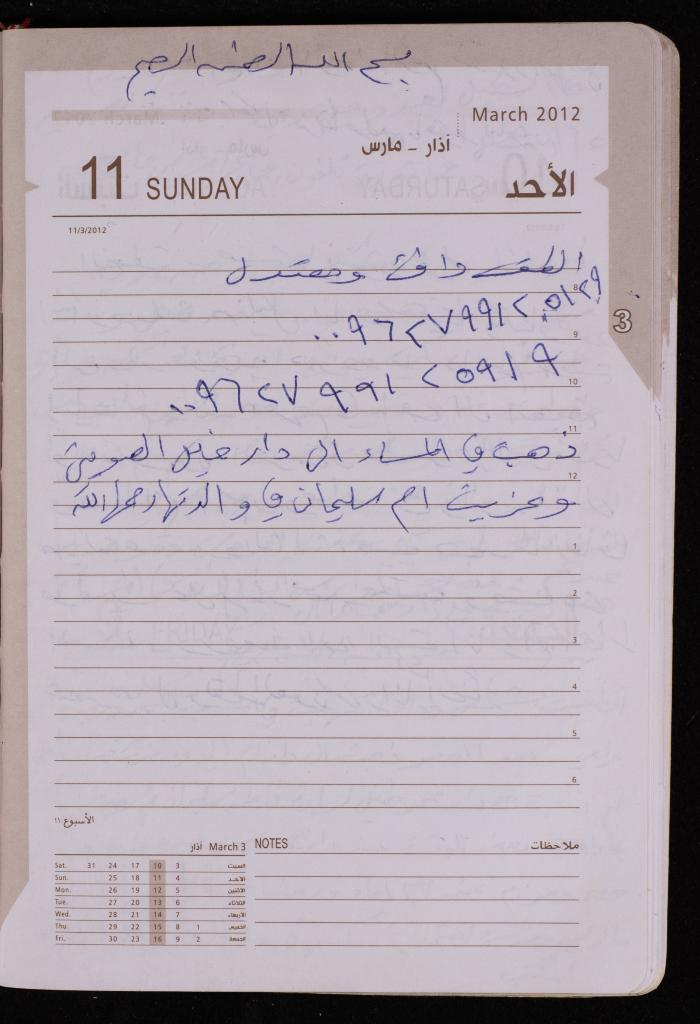 دفتر يوميات فضية الدرابيع، دورا- الخليل، 2012