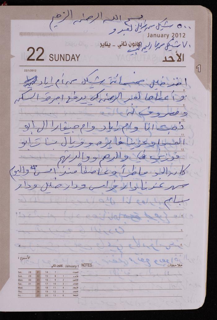 دفتر يوميات فضية الدرابيع، دورا- الخليل، 2012