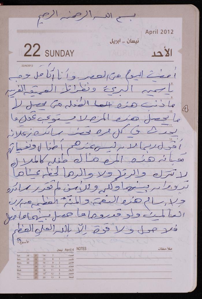 دفتر يوميات فضية الدرابيع، دورا- الخليل، 2012